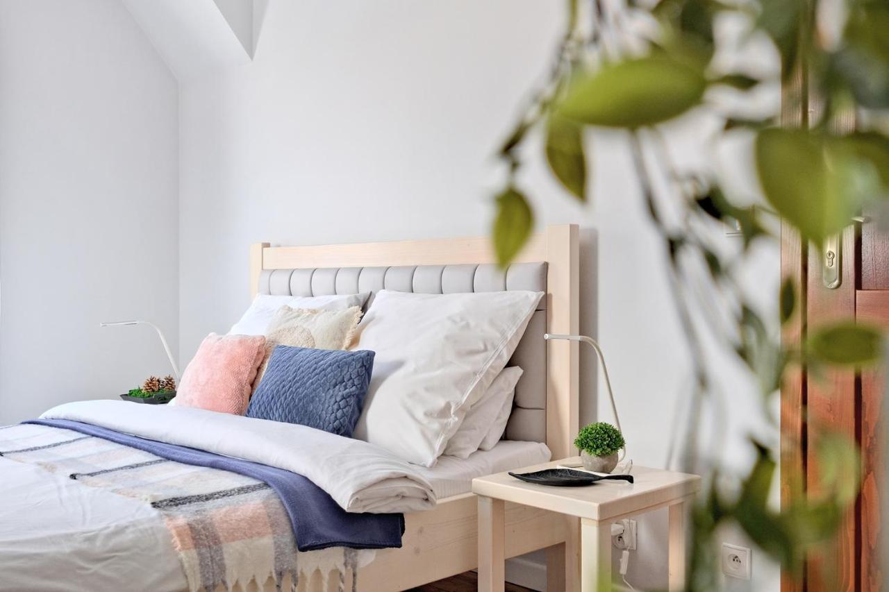 Apartamenty Maciejka Odkryj 자코파네 외부 사진